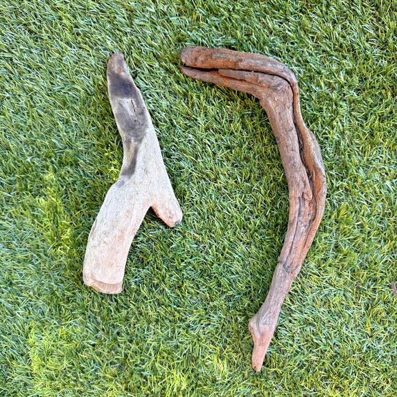 2 Natural Driftwood Branches California Coast Rustic Decor Aquarium Terrarium - Picture 1 of 14